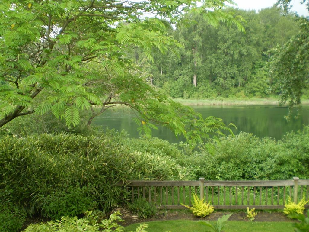 Lewis River Inn Woodland Room photo